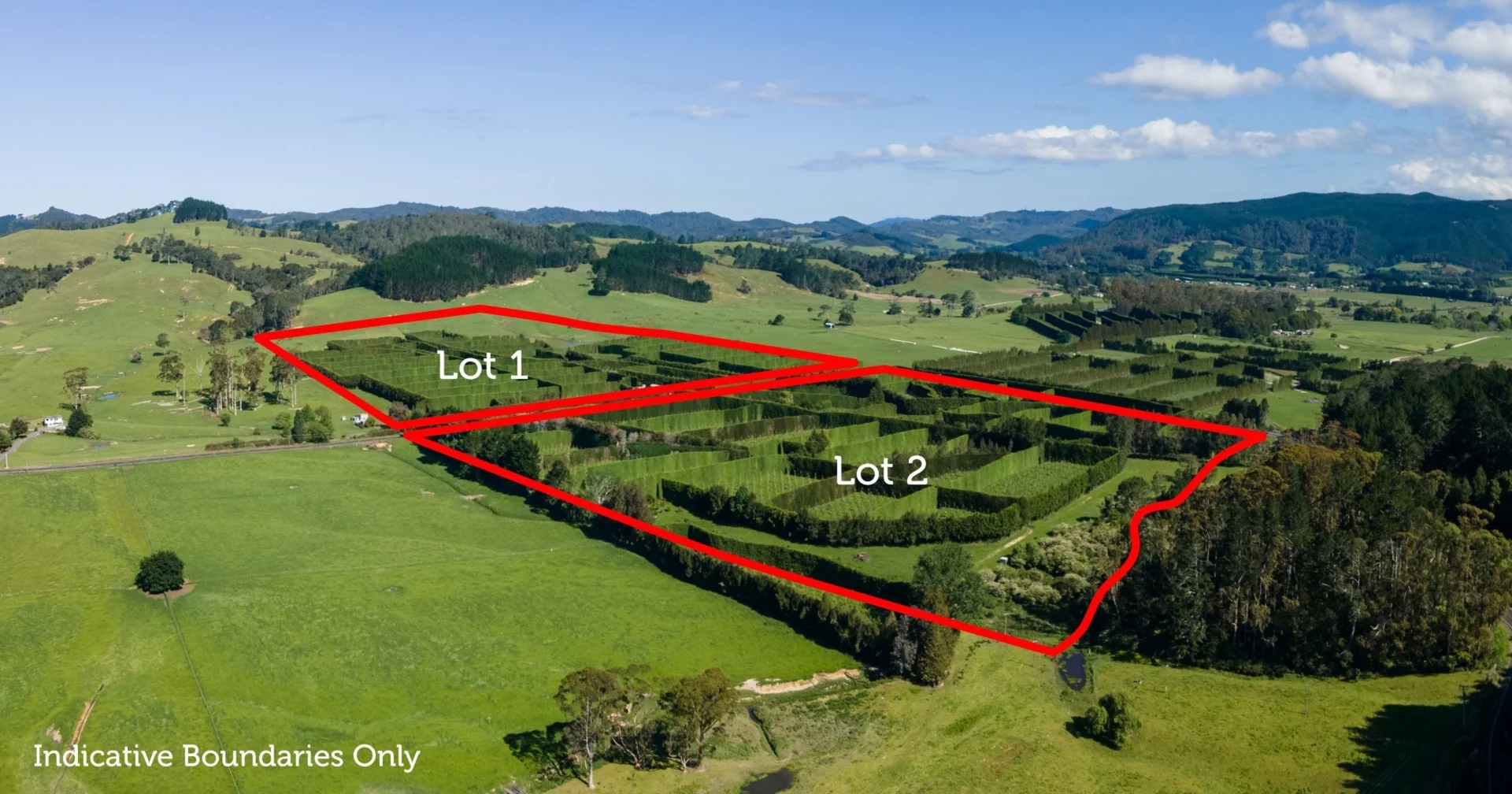 203 Hot Water Beach Road