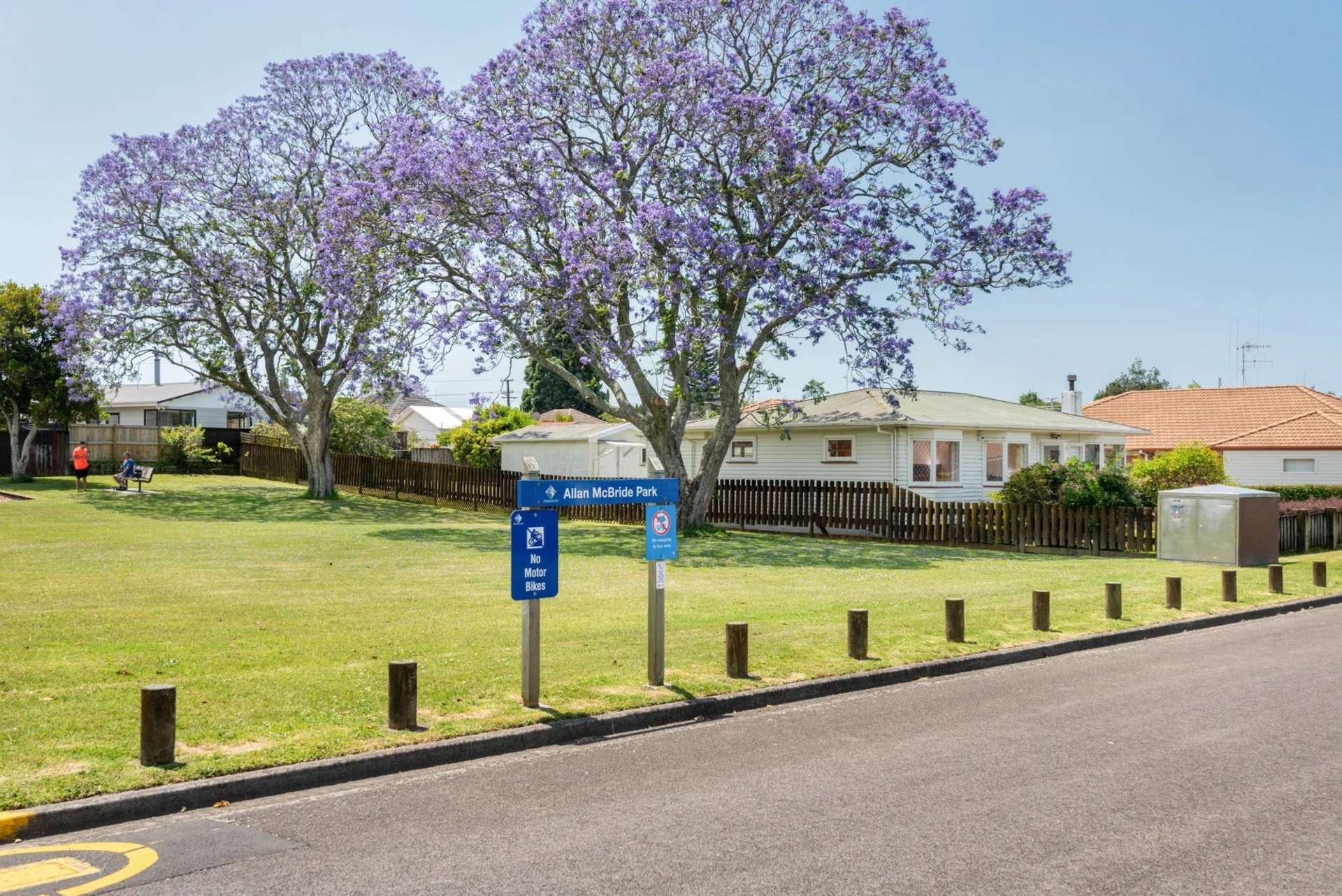 19 Rimu Street