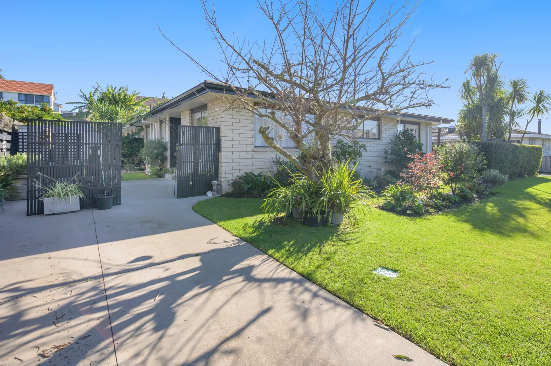 33 Shelley Street