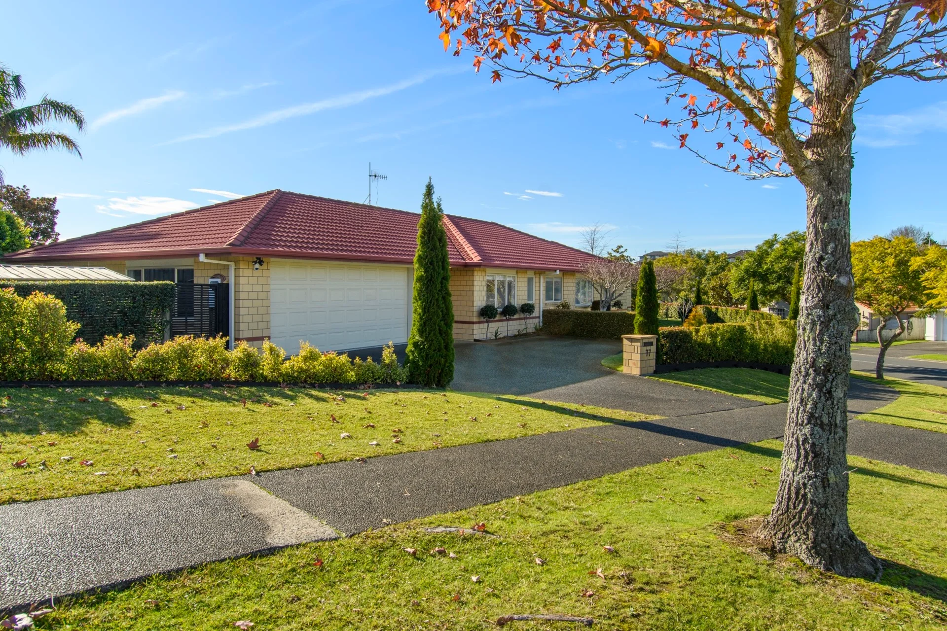 77 Westmorland Rise