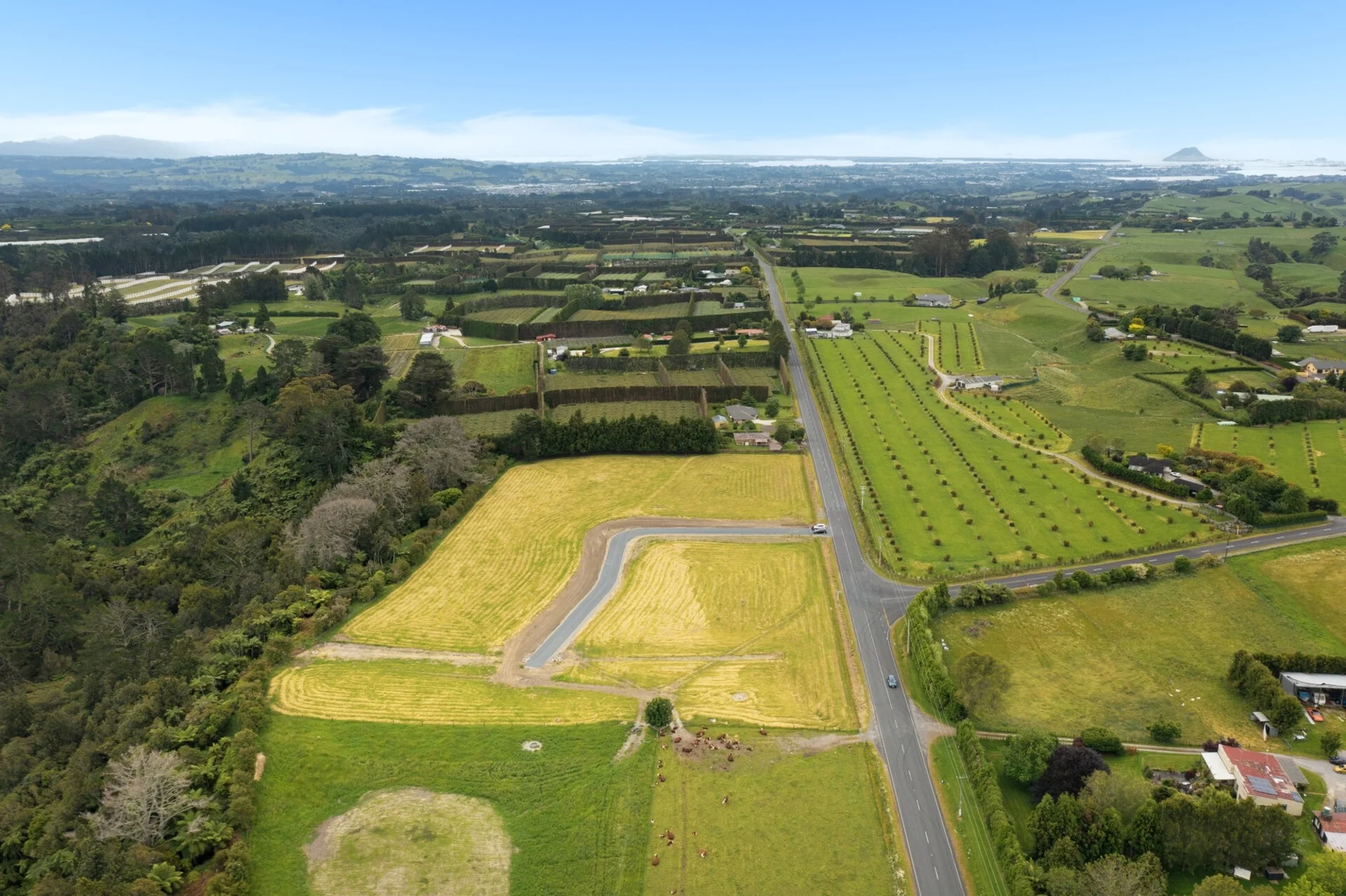Lot 2 1122 Oropi Road