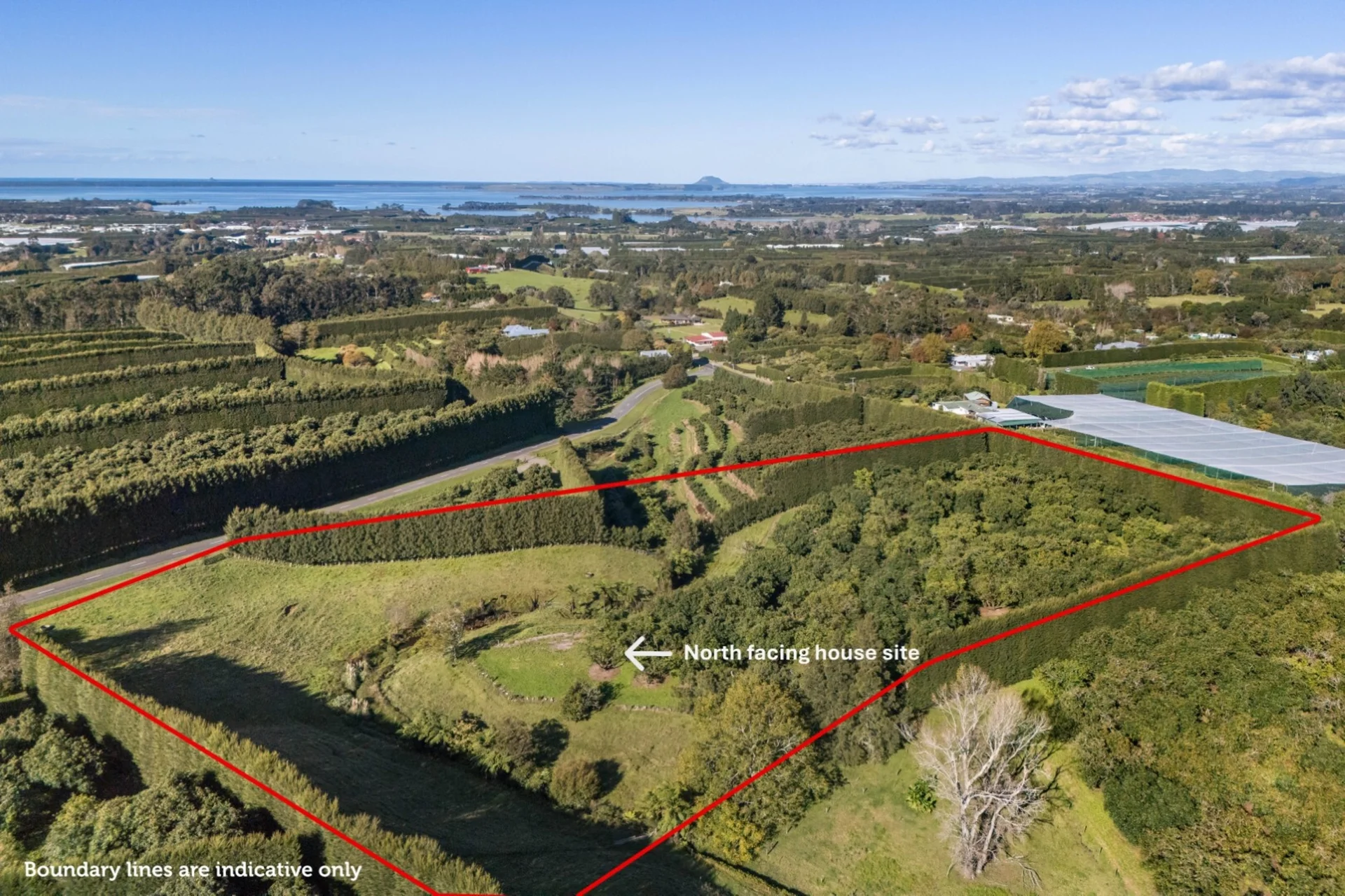 222 Wharawhara Road